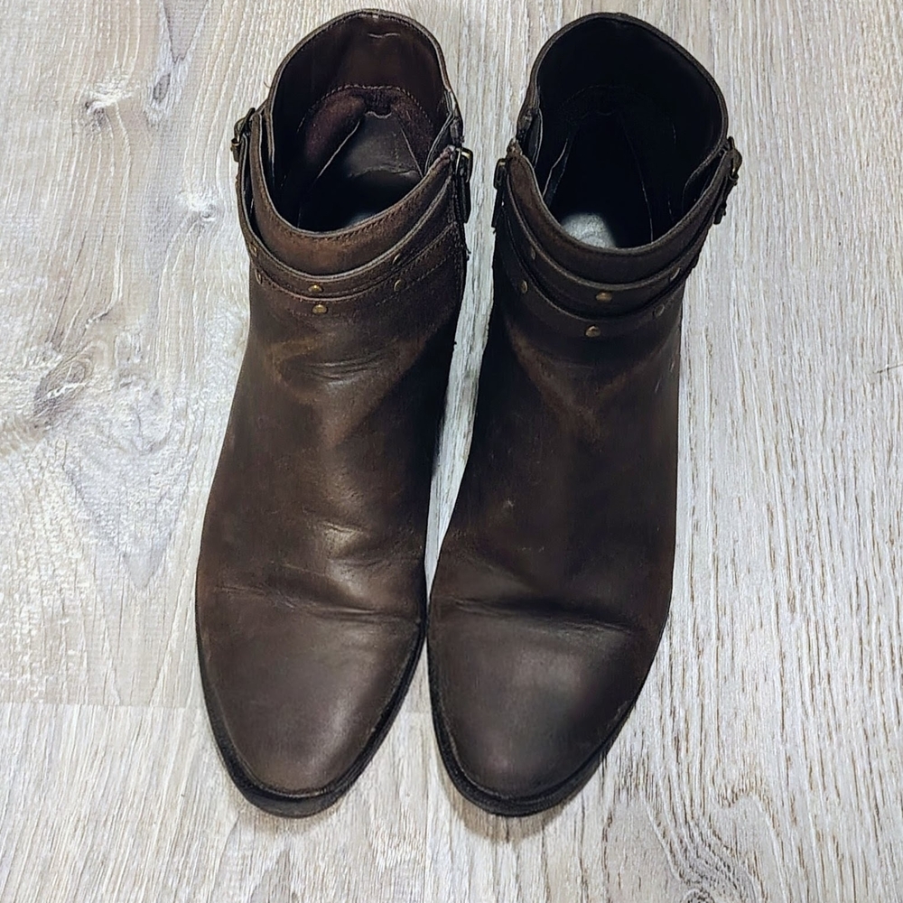 Chaps Brown Ankle Boots